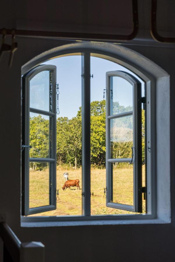 Ekenaes Gard Pa Oesterlen Kivik Luaran gambar